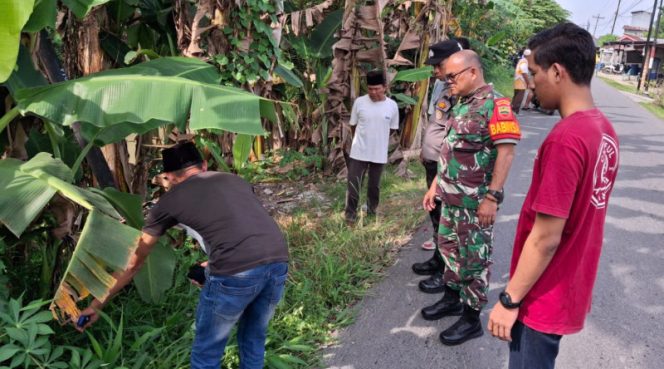 
					Pria 59 Tahun Ditemukan Meninggal di Pinggir Jalan, Diduga Jadi Korban Tabrak Lari