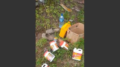 Pupuk Organik Benteng Tani Mulai Dipakai di Kebun Sawit Langkat, Petani Senyum Lega