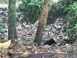 Warga Sukasenang Ciamis Tawarkan Ide Kelola Sampah demi Lingkungan Bersih
