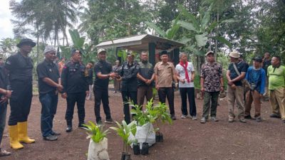 Brimob Polda Jabar Tanam Ribuan Pohon di Ciamis, Demi Air dan Sawah Tetap Mengalir!