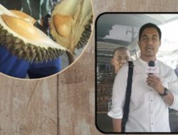 Pengacara Hits dari Cirebon Ngacir ke Ciamis Demi Durian Kujang yang Bikin Nagih!