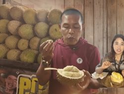 Serbu Kedai Durian Kujang! Seribu Durian Palembang Manisnya Bikin Lupa Pulang