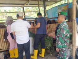 Babinsa Singasari dan Dinas Peternakan Ajak Warga Jaga Ketahanan Pangan Lewat Vaksinasi Ternak di Bunisari