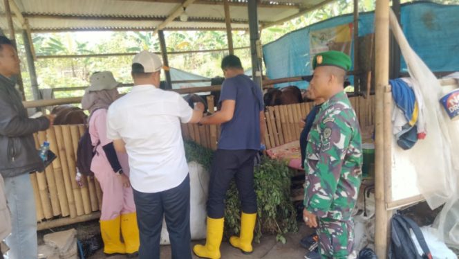 
					Babinsa Singasari dan Dinas Peternakan Ajak Warga Jaga Ketahanan Pangan Lewat Vaksinasi Ternak di Bunisari