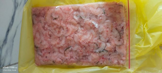 
					Makanan Beku Ilegal Diduga Dijual Bebas Di Toko Jalan Nusantara Karimun