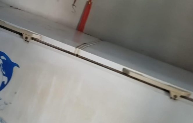 
					Toko Tina Karimun Diduga Jual Makanan Beku Tanpa Izin