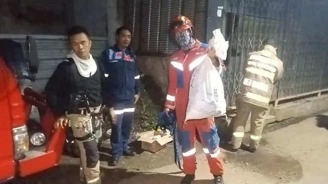 
					Sarang Tawon Besar Di Pasirlayung Akhirnya Dievakuasi Damkar