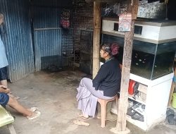 Ular Python Masuk Rumah Warga Pasirlayung Bikin Kaget