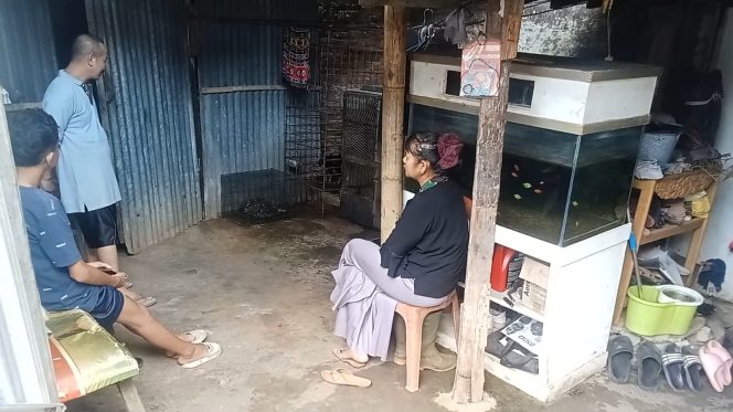 
					Ular Python Masuk Rumah Warga Pasirlayung Bikin Kaget